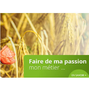 Faire de mon métier une passion