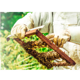 Faire de mon métier une passion