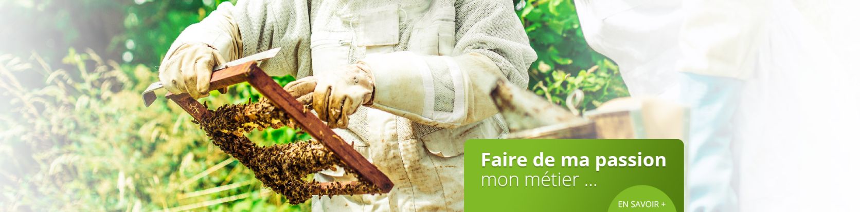 Faire de ma passion un métier