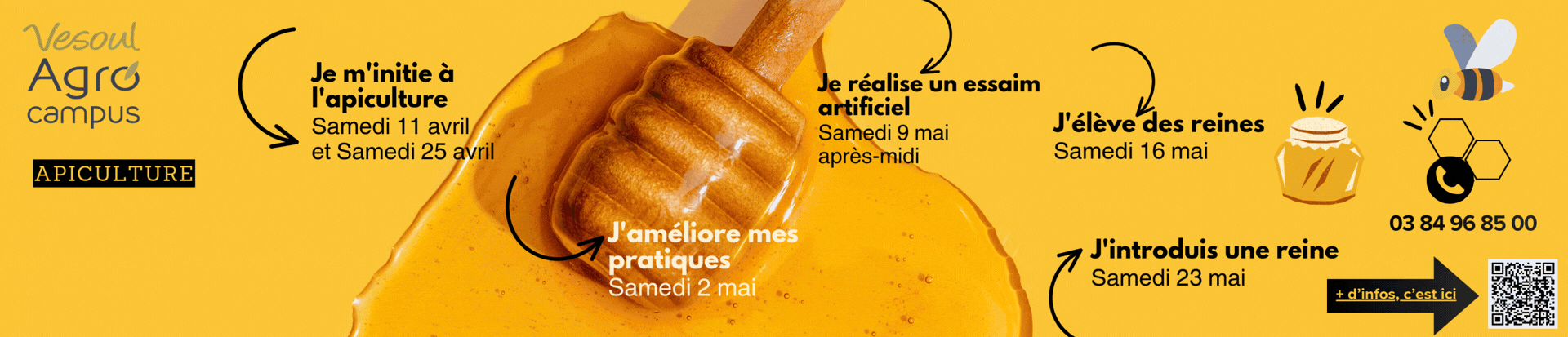 Post Instagram Conseils Nutrition Bienfaits du Miel Apiculture Simple (Publication Facebook).gif
