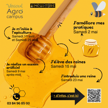 Post Instagram Conseils Nutrition Bienfaits du Miel Apiculture Simple (1080 x 1080 px).gif